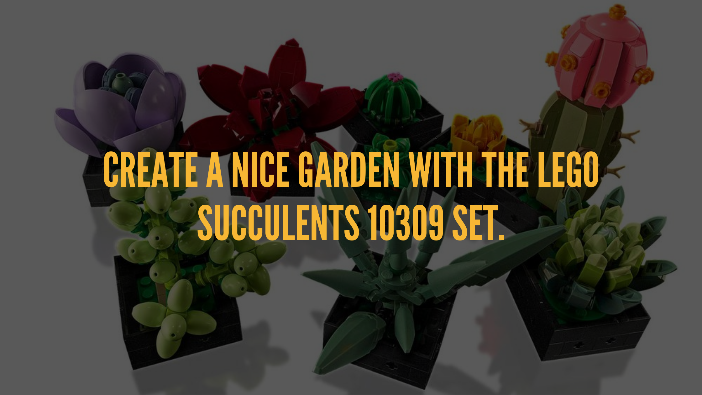 The garden with the LEGO Succulents 10309 Set.