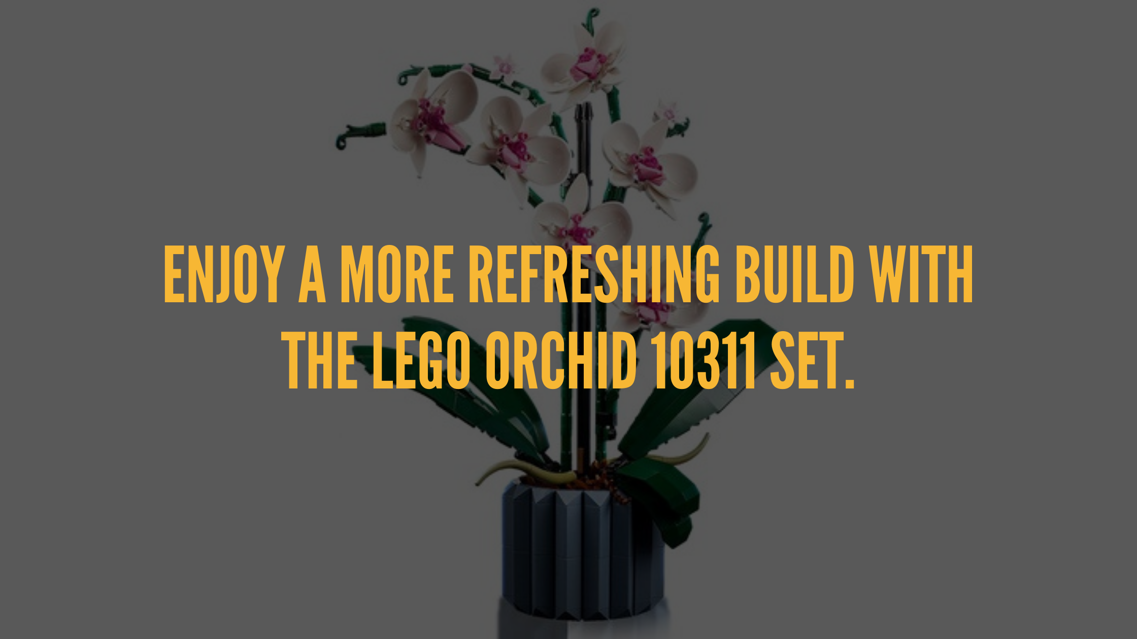 As requested, build pics of the Lego orchid : r/orchids
