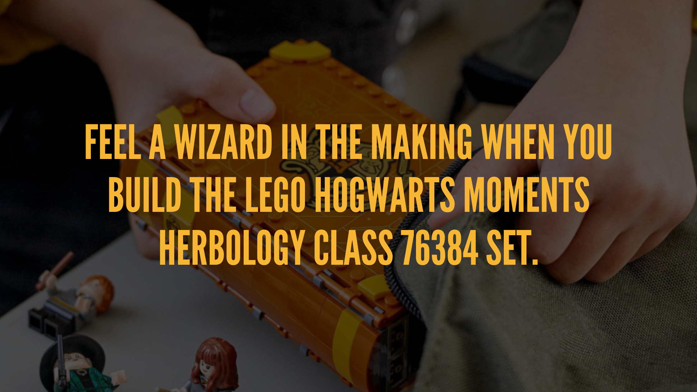 Best Buy: LEGO Harry Potter Hogwarts Moment: Herbology Class 76384