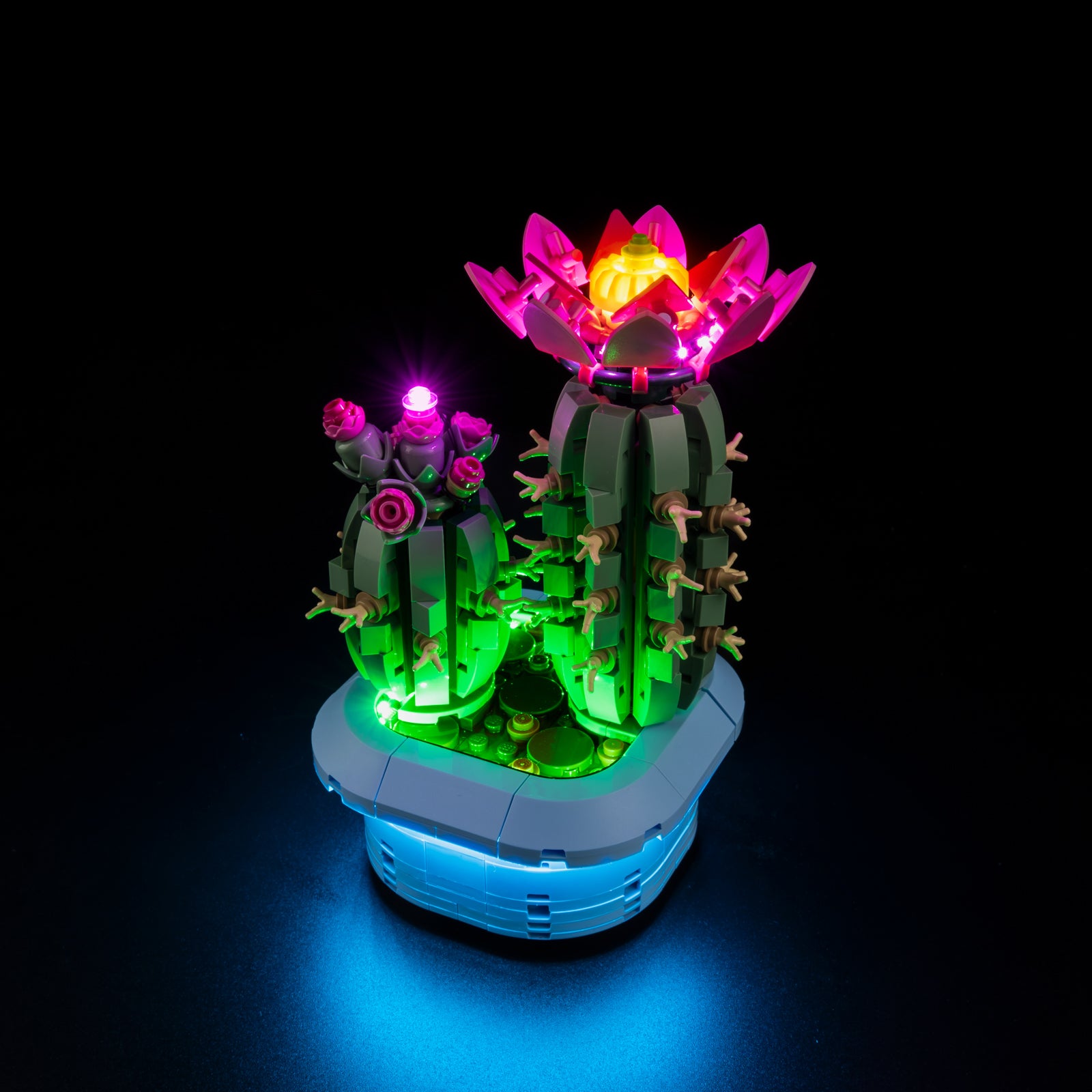 Light Kit for Flowering Cactus 11509