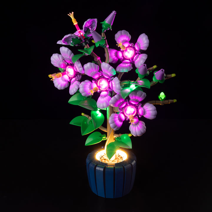 LEGO Hibiscus 10372 Light Kit