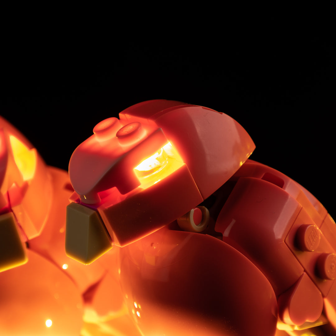 LEGO® Love Birds 21365 Light Kit