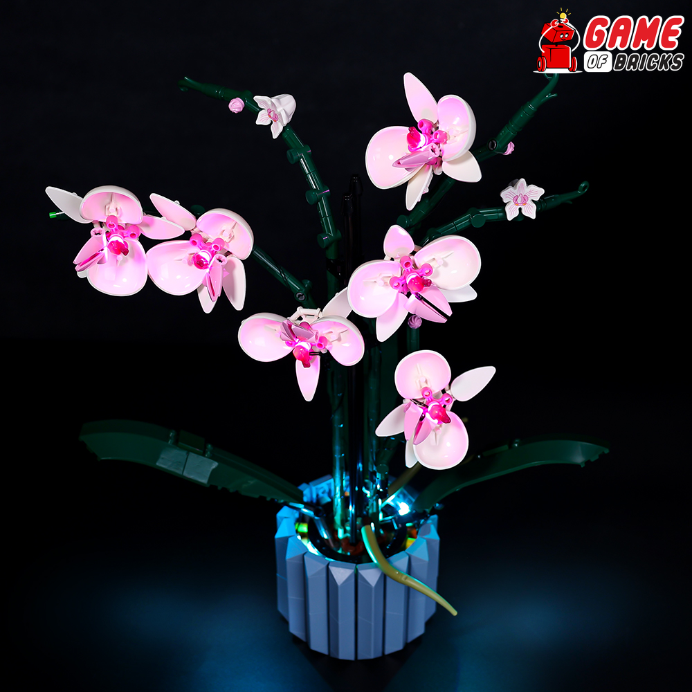 Light Kit for Orchid 10311