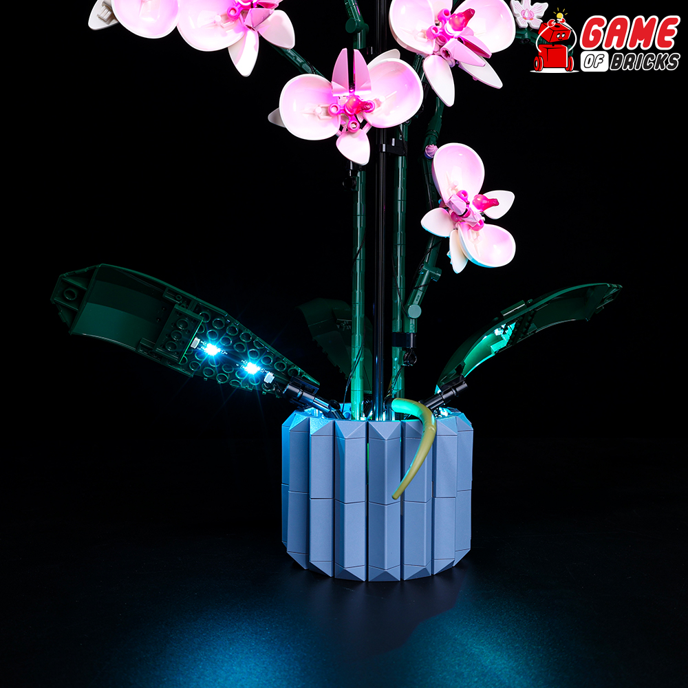 LEGO Orchid 10311 Light Kit