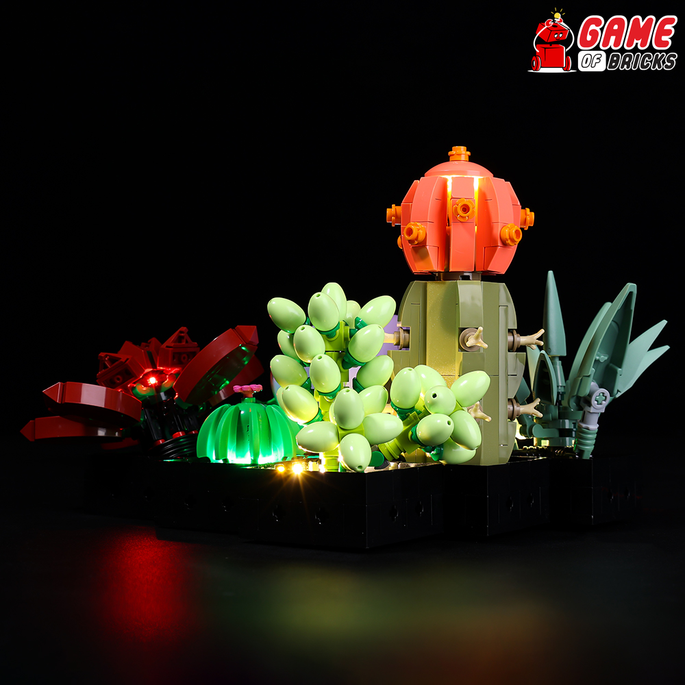 GEAMENT Set di Luci LED Compatibile Con LEGO Piante Grasse (Succulents) –  Kit Di Illuminazione per Creator 10309 Modello da Costruire (LEGO set Non  Incluso) : : Giochi e giocattoli